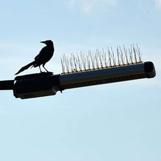 Sublime Safety Anti Bird Spikes Installation Services in Hyderabad, Warangal, Suryapet, Khammam, Karimnagar, Mahbubnagar, Adilabad, Nalgonda, Nizamabad, Ramagundam