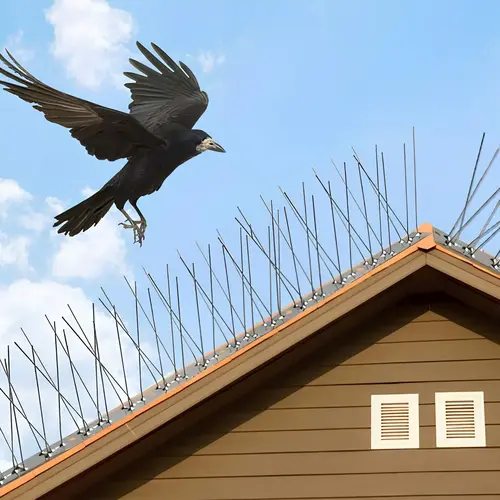 Sublime Safety Anti Bird Spikes Installation Services in Hyderabad, Warangal, Suryapet, Nalgonda, Khammam, Karimnagar, Mahbubnagar, Nizamabad, Adilabad, Ramagundam