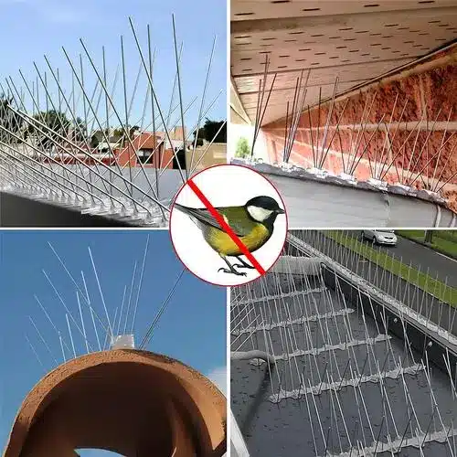 Sublime Safety Quality Pigeon Spikes and Anti Bird Spikes in Jubilee Hills, ECIL, Hyderabad, Mahbubnagar, Karimnagar, Ramagundam, Nalgonda, Suryapet, Adilabad, Warangal, Khammam, Nizamabad