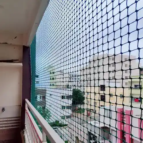 Sublime Safety Quality Net for Pigeons in Uppal, Yapral, Miyapur, Nanakramguda, Nizamabad, Suryapet, Warangal, Ramagundam, Nalgonda, Khammam, Adilabad, Mahbubnagar, Hyderabad, Karimnagar